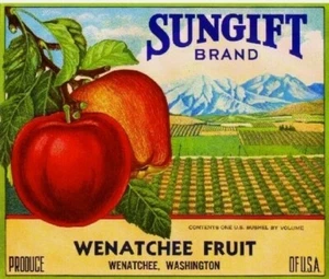 Set aus zwei 5x5 Vintage Sungift Apfel Obst Werbung Handwerk & Quilt Baumwolle Stoff Blöcke - Bild 1 von 1