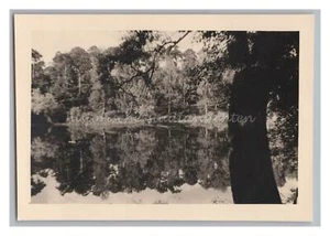 Schöne Spiegelung auf dem Grunewaldsee Berlin 1952 - Altes Foto 1950er - Picture 1 of 2