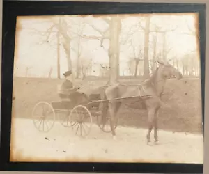 Foto antica cavallo e carrozza vittoriana donna orgogliosa con cappello grande taglia seppia - Foto 1 di 4