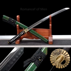 T10 Steel Clay Tempered Wakizashi Double Bo-Hi Sword Copper Tsuba Green Saya - Picture 1 of 10