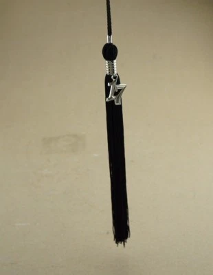 NUEVO 20 Pack Genuino Jostens Negro Plata 17 Dijes Borla Graduación 9" Envío GRATIS Foto 1 de 4