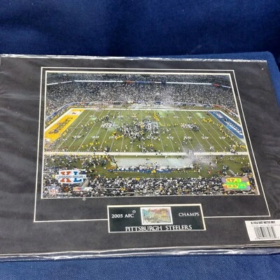 Pittsburgh Steelers AFC Champs 2005 fotografía mate tiro de campo Steiner Sports  Foto 1 de 4