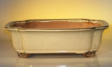 Beige Ceramic Bonsai Pot Rectangle Glazed Measures: 12.0" x 9.5" x 3.375" Size - Image 1 of 1