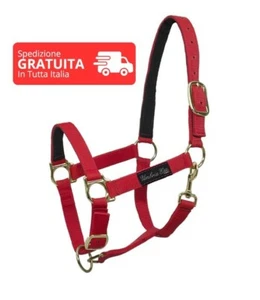 Cavezza Doppia Rinforzata in Pelle taglia Full Fibbie Ottone Cavallo vari colori - Foto 1 di 3