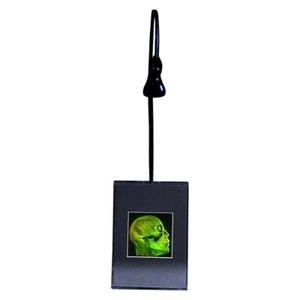 Fotopolímero 3D cerebro/cráneo imagen de holograma 3D de 2 canales - soporte de escritorio iluminado - Imagen 1 de 7