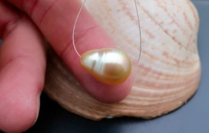 ALL NEW EXOTIC GENUINE METALLIC GOLD SOUTH SEA CULTURED AA+ PEARL 11.9x16.7mm - Picture 1 of 14