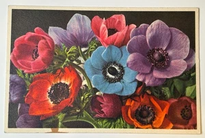 Vintage Postcard – Colorful Anemone Flowers Bouquet – Printed in Switzerland - Picture 1 of 2
