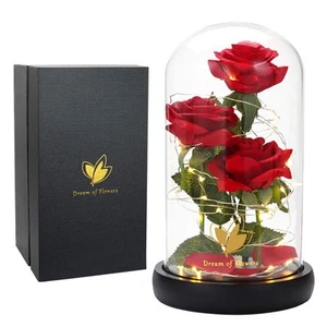 Beauty and The Beast Rose in Glass Dome with 40 Led Lights,Graduation Gifts,A... - Picture 1 of 9