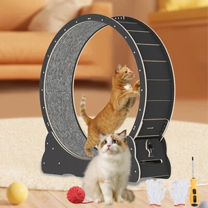 39.3 inch Cat Exercise Running Wheel Treadmill Cat Running Toys for Indoor - Picture 1 of 15