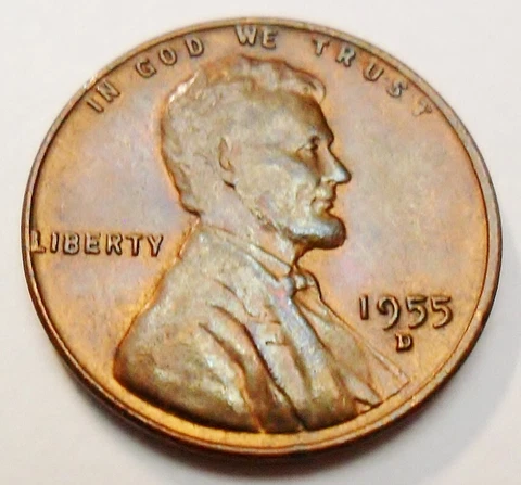 1955 D Lincoln Wheat Cent / Penny *BU / MS RB - MINT STATE RED-BROWN*  FREE SHIP Cover
