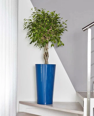 12 Farben Blumentopf mit Einsatztopf 33 cm rund 61 cm hoch Übertopf Kübel Vase - Bild 1 von 4