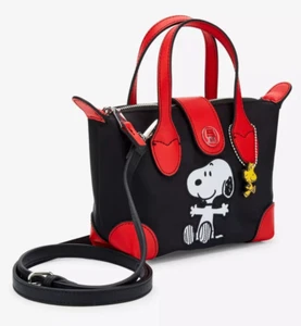 Mini borsa Danielle Nicole Peanuts Snoopy & Woodstock - Foto 1 di 4