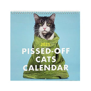 Pissed-Off Cats Calendar 2025 Hanging Wall Calendar Funny Monthly Planner - Picture 1 of 7