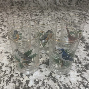 Vintage Handpainted American Songbirds Glass 5 Small Glass Whiskey Glasses - Picture 1 of 7