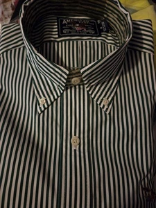 American Eagle New Mens L/S Green Stripe Shirt Size M - Picture 1 of 7