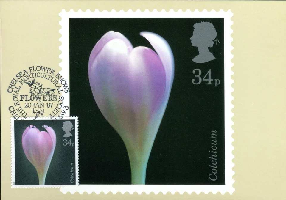 Fotografía de flores 1987 34p PHQ FDC. Chelsea Flower Show Horticultura Primer Día Foto 1 de 1