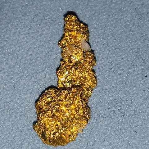 Native Crystallized Crystalline Big Gold nugget Sharp Combo Museum pc El Dorado Cover