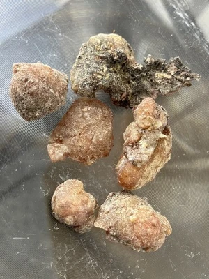 1 OZ Ponderosa Pine Sap Pitch From The Colorado Rocky Mountains Glue Knapping - Image 1 of 3