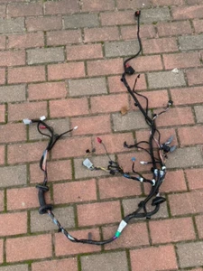 Tesla Model S 16-20 Front Left Driver Side Door Wire Wiring Harness 2004419-00-B - Bild 1 von 3