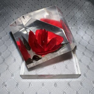 Pisapapeles vintage geométrico Lucite rosa tallado a mano y coloreado Bircraft - Imagen 1 de 6