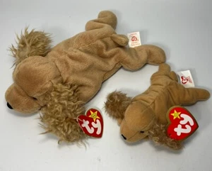 TY Beanie Babies Spunky Dog Puppy Plush Stuffed Animal and Teenie beanie Spunky - Picture 1 of 6