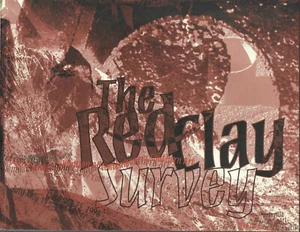 The Red Clay Survey_ Sixth Biennial Exhibition of Contemporary Southern Art 1998 - Picture 1 of 1