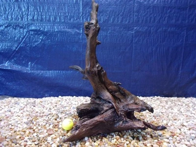 Large Driftwood 19"x13"x10" Aquarium Terrarium Reptile Natural Art - Image 1 of 4