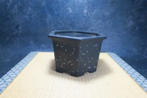 Echte japanische Bonsaischale "Heian Kosen" - Bild 1 von 14