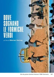 Dvd Dove Sognano Le Formiche Verdi - Foto 1 di 1