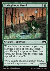 MTG - SPRINGBLOOM DRUID - Tarkir Dragonstorm Com (C) - Picture 1 of 1