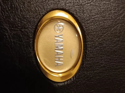 Saxofón soprano Yamaha YSS-875EX Custom EX lacado con alta G Foto 1 de 4