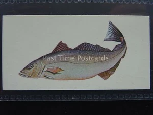 No.35 POLLACK Sport Fish - Issued by Carreras / Black Cat 1978 - Picture 1 of 1