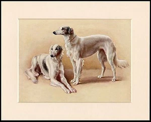 SALUKI ZWEI HUNDE CHARMANT KLEINER HUND KUNSTDRUCK MONTIERT RAHMENFERTIG - Bild 1 von 1