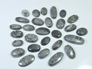 208Cts. Lote de 28 piezas de piedras preciosas sueltas cabujón ovalado coral fósil negro natural - Imagen 1 de 6