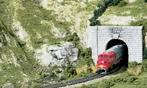 Woodland Scenics ~ New 2025 ~ N Scale ~ Subterrain Scenery Kit ~ S929 - Picture 1 of 2