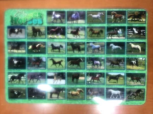 M. Ruskin 2005 Horses Placemat Guess Game 17” x 11-1/2” New - Picture 1 of 5