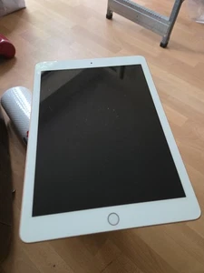 Apple iPad 6. Gen. 32GB, WLAN, 24,64 cm, (9,7 Zoll) - Rosegold  - Bild 1 von 3