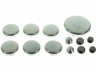 Kit de tapones de expansión para Ford F150 1975-1978 84835DH 1976 1977 7,5 L V8 Foto 1 de 2