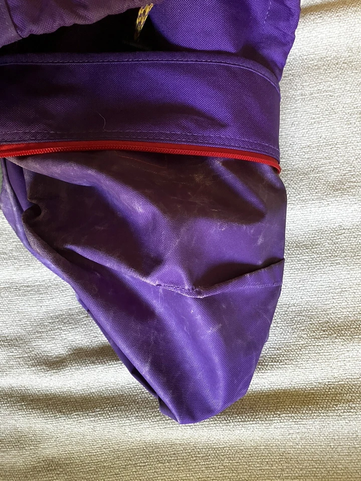 patagonia arbor backpack Purple 40th Anniversary  - Image 1 of 4