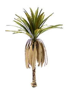 NEW DESERT PALM TREE MODEL 1/72 SCALE. TPS-008 - Picture 1 of 4