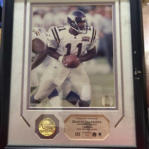 Daunte Culpepper Highland Mint 8x10 Framed Photo Gold Coin 11x14 - Picture 1 of 4