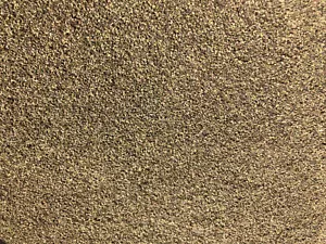 100g Brennesselsamen Superfood Heilkraut. - Bild 1 von 1