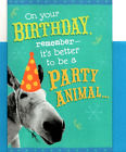 Funny Happy Birthday Donkey Stink Stinky Fart Farting Gas Hallmark Greeting Card