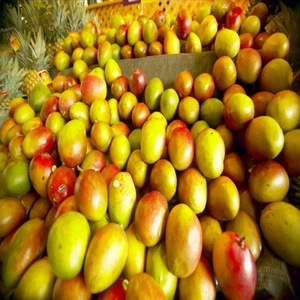 Mango Paradise Fragrance Oil Candle/Soap Making Supplies **Free Shipping ** - Picture 1 of 1