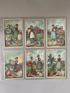 FLEURS ALPINES S 474 Serie Completa Figurine LIEBIG FRA Fiori alpini - Imagen 1 de 6