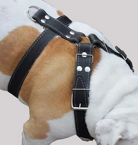 Black Genuine Leather Dog Harness, Large to XLarge. 35"-39" Chest, 1.5" Straps - Picture 1 of 5