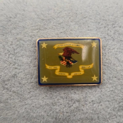 Pin de solapa fiscal de los Estados Unidos esmalte de 1 pulgada estrellas tono dorado Foto 1 de 3