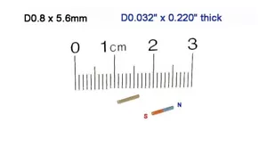 D0.8 x 5.6mm thick, N42, Rare Earth, Neodymium Cylinder Magnet -Pack of 10 - Bild 1 von 1