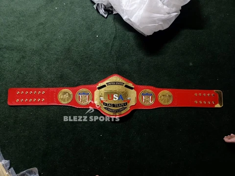 NWA USA TAG TEAM CHAMPIONS Replica Title Belt Cover