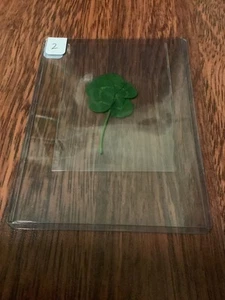 5 LEAF CLOVER HAND PICKED FROM WORLDS LUCKIEST CLOVER PATCH #2 - Picture 1 of 1
